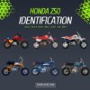 Honda Z50 Identification Guide_1.