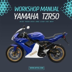 Free Downloadable Workshop Manual for Yamaha TZR50